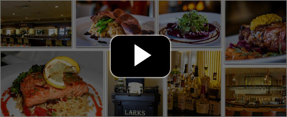 Larks Slider Video Image